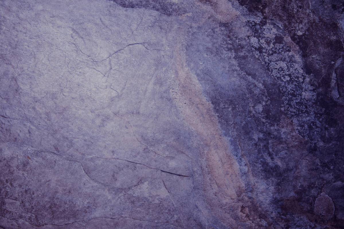 Qu&rsquo;est-ce que la feuille de pierre ? Mulhouse